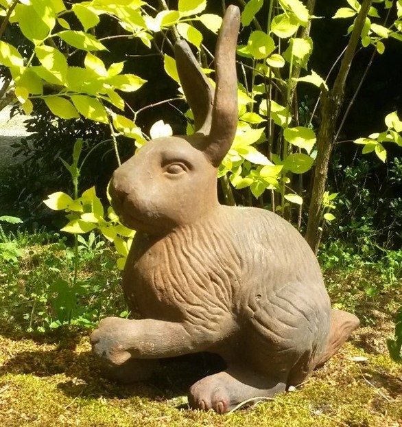 Lapin de pâques